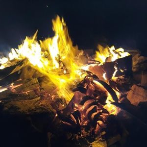 Meet your Posher, Autumn